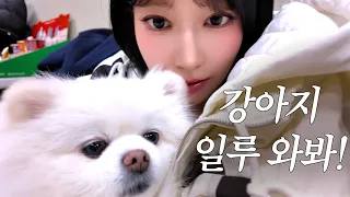 이 영상 끝까지 보면 강아지 나옴🐶 | LE PLAY