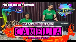 Download Camelia - Rhoma irama karaoke nada cewek Em versi bangplak MP3