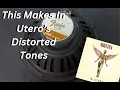 Download Lagu This Rare Fender Speaker Makes Nirvana's In Utero (Part One)