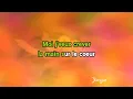 Karaoké Je veux - Zaz