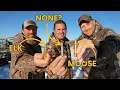 Best Cartridges For Each Big Game Animal The Pros Debate