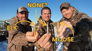 Best Cartridges For Each Big Game Animal The Pros Debate