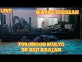 Download Lagu KESENIAN JARANAN KIDAL TURONGGO MULYO. LIVE DS BEJI KRAJAN  KOTA BATU