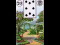 The Garden - Lenormand Card Combinations