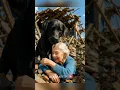 Download Lagu The Black Dog Saved The Old Woman Who Had Mistreated Him. 💔😢
