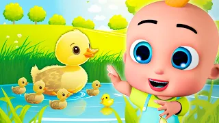 TV Kids Animations - Baby Shark & Ducks - Nursery Rhymes & Kids Songs