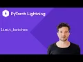 PyTorch Lightning - limit batches