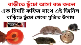 ছুঁচো তাড়ানোর উপায় কফি,chika taranor upay,ছুঁচোর অত্যাচার,How to get rid of rat tyranny at home
