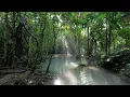 The Hidden Valley: Ambient Relaxing Music for Stress Relief, Sleep & Meditation
