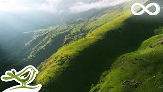The Hidden Valley Ambient Relaxing Music for Stress Relief Sleep Meditation