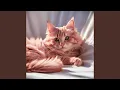 Download Lagu Meow Mood Vol.023
