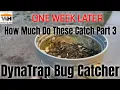 Part 3 One Week Later Bug Catcher Comparison Between DT1050 and DT2000XLP