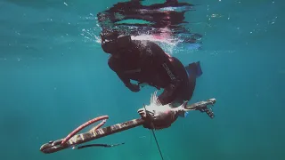 FORAGE Making the Most of What We Have (Spearfishing and Fish Head Soup) – Free Range Sailing Ep 115