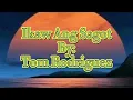 Download Lagu Ikaw Ang Sagot~ Tom Rodriguez (Karaoke Version)