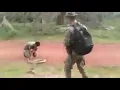 Thai Marine catching King Cobra with his bare hands 🐍