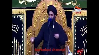 نعي من عمت عين الزمان الخانج (السيدة زينب ) السيد محمد الصافي