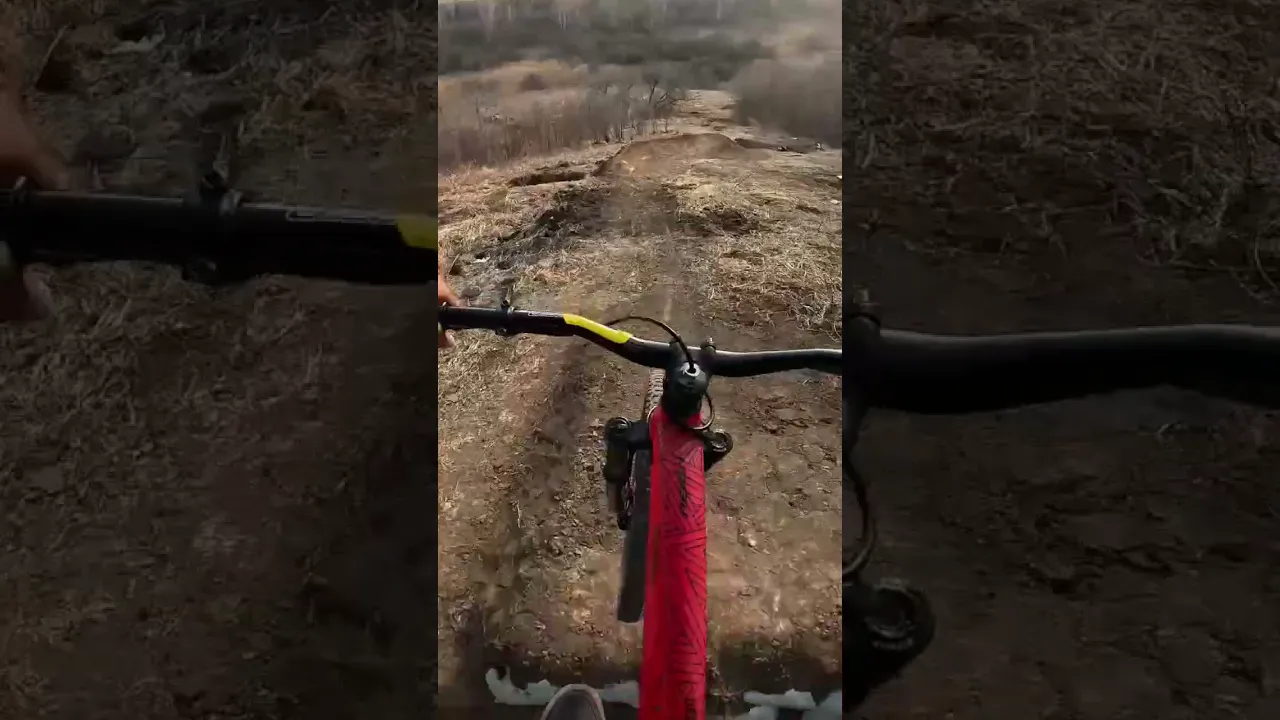 обзорчик #bmx #mtb