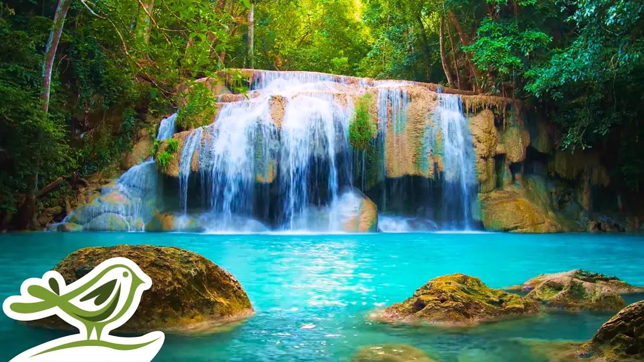Relaxing Piano Radio ???? Music by Peder B. Helland