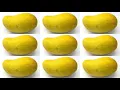 Blokeacola - Mango Insane (Official Video)