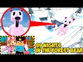 Download Lagu MY DRONE CAUGHT A REAL BEAR 99 NIGHTS IN THE FOREST IN REAL LIFE! MINECRAFT GIRL VIDEO