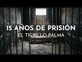 El Tigrillo Palma - 15 Años De Prisión (Visualizer)