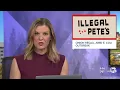 Illegal Pete s pulls recalled onions from eateries out of abundance of caution
