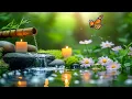 Download Lagu 🌿 Ontspannende muziek – Verlicht stress, angst en depressie | Diepe slaap voor lichaam en geest