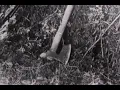 Kad te moja čakija ubode (When My Knife Stabs You) - Yugoslav Documentary, 1968 [ENG subtitles]