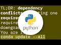 anaconda update all possible packages