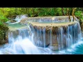 Download Lagu Beautiful Nature Scenery Relaxing Peaceful Soothing Music | Bird Sounds, Water Sound, Sleep Music