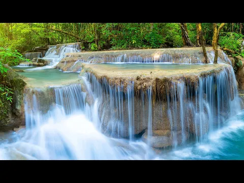 Download MP3 Beautiful Nature Scenery Relaxing Peaceful Soothing Music | Bird Sounds, Water Sound, Sleep Music