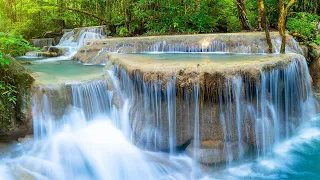 Beautiful Nature Scenery Relaxing Peaceful Soothing Music Bird Sounds Water Sound Sleep Music  Beautiful Nature Scenery Relaxing Peaceful Soothing Music Bird Sounds Water Sound Sleep Music