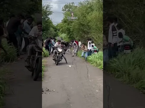 dog res Kolhapur🔥👑| Dog Race | Kolhapur Dog Racing/Dog Race Maharashtra/Dog Race kolhapur #shorts