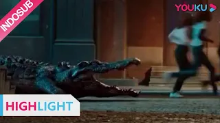 highlight crazy tsunami ternyata buaya raksasa bautan manusia youku indo sub