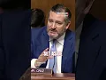 Ted Cruz GRILLS Witnesses Are Voter ID Laws Racist