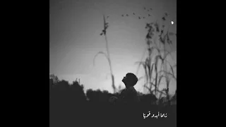 ربما ابدو قويا حازما صلب المشاعر اداء صابر حسنى دندنها