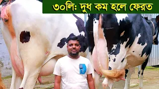 ৩০ লিটার দুধের গাভী কম হলে ফেরত dairy farm