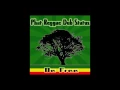 Download Lagu Phat Reggae Dub - Wika Wika Spidazz