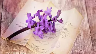 صديقي من يقاسمني همومي دندنها