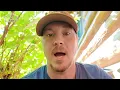 How do I get rid of Carpenter Bees Let us show you We have tried it all