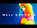 Well Groomed - Trailer
