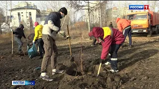 В Омске на бульваре Веретено появилась абрикосовая аллея