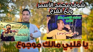 محمد الاسمر والمعلم الابيض ياقلبي مالك موجوع تصوير من داخل القطار جوده عاليه HD 