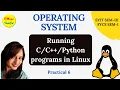 Running Python program in Linux