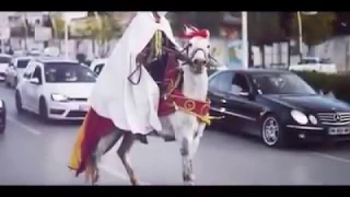                دندنها
