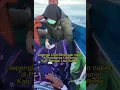 Download Lagu Ibu melahirkan diatas perahu... dibantu bidan desa!!