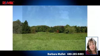 Lots And Land for sale - Pekin Rd Newbury OH 44065