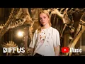 Download Lagu Paula Hartmann - Veuve (Live at Museum für Naturkunde)