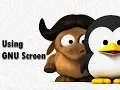 Using GNU Screen For Persistent Terminal Session