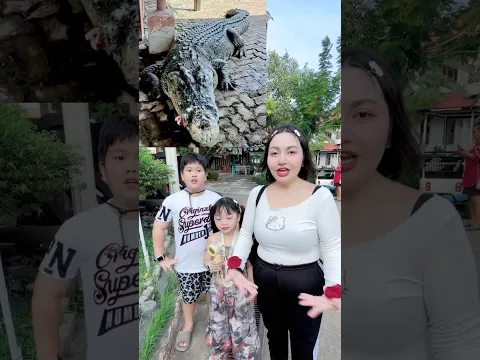 ตามหาจระเข้ก๊อตซิล่าใหญ่ที่สุดในโลก🐊